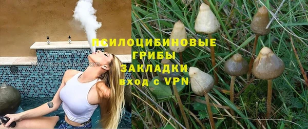 2c-b Белокуриха