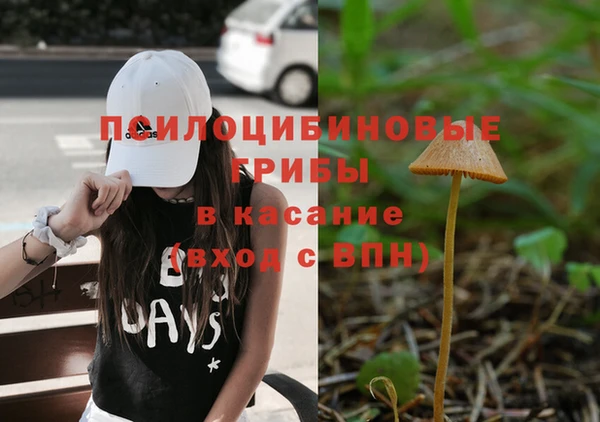 метадон Богородск