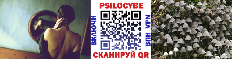 где можно купить mega ТОР Галлюциногенные грибы MAGIC MUSHROOMS Демидов